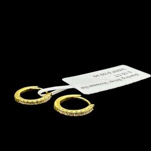 Elegant Gold Hoop Earrings
